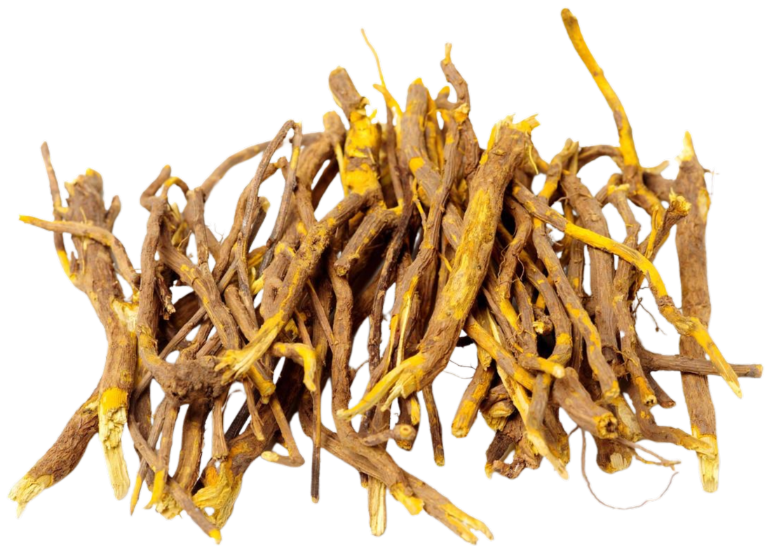 Berberine root ingredient image